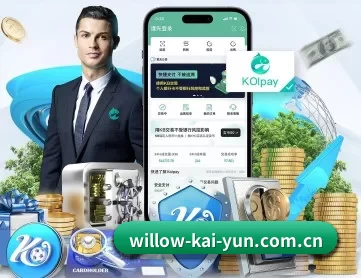 开云 APP 深度功能 - Kaiyun